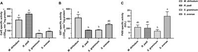 Susceptibility of Four Species of Aphids in Wheat to Seven Insecticides and Its Relationship to Detoxifying Enzymes